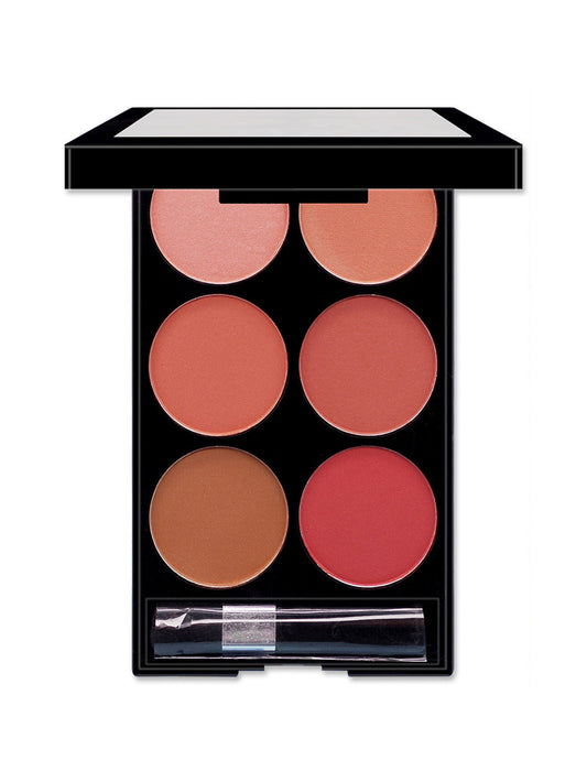 Multi-color Boutique Six-color Blush Pallete